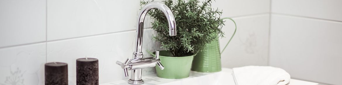 Weißes Waschbecken mit silberfarbenem Wasserhahn und Grünpflanze